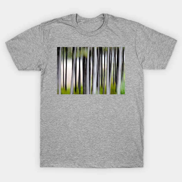 Pines #2 T-Shirt by LaurieMinor